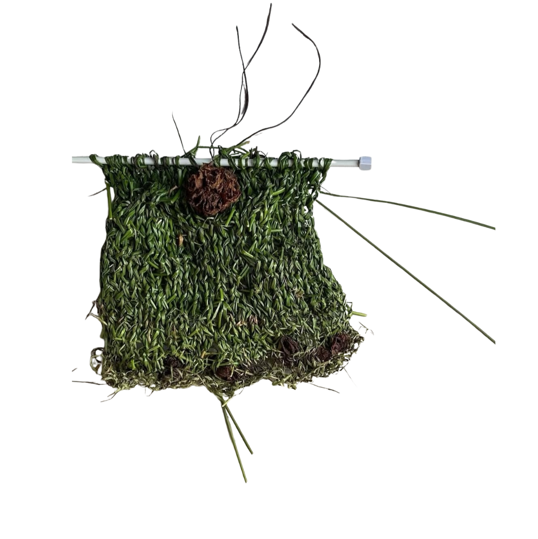 Plegaria Humedal - Imagen derecha